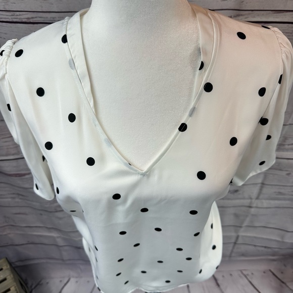 NWT RW&CO. White & Blue Polka Dot Shirt - M - Picture 2 of 7